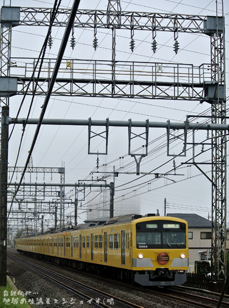 20131006b.JPG