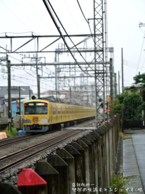 20131006f.JPG