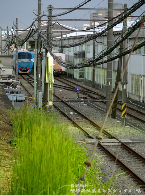 20131006g.JPG