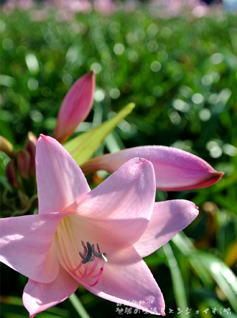 20131012-1b.JPG