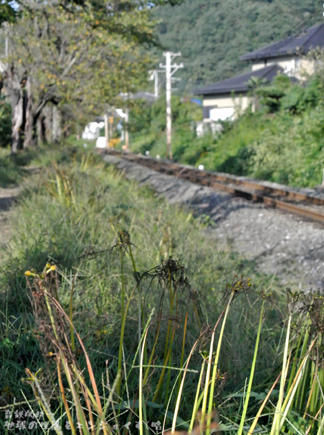 20131012-1g.JPG