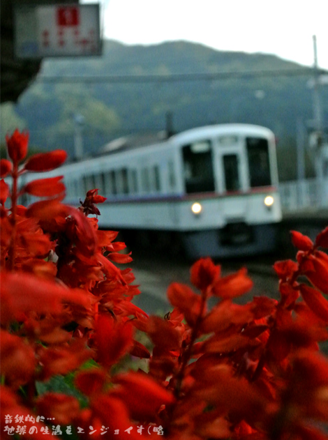 20131012-1h.JPG