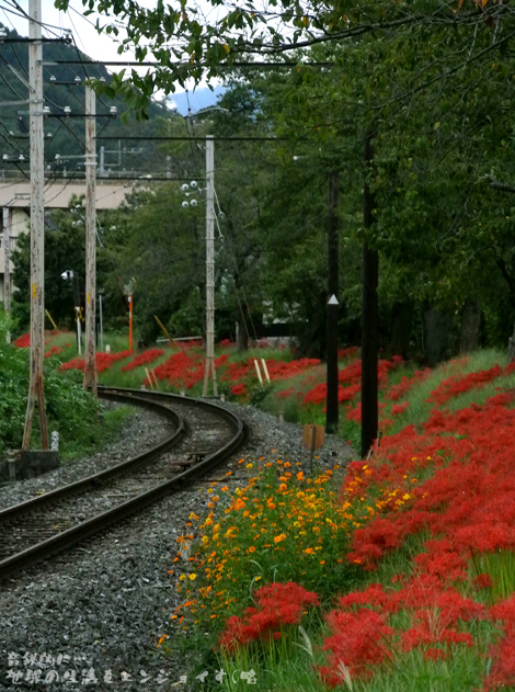 20131012-1k.JPG