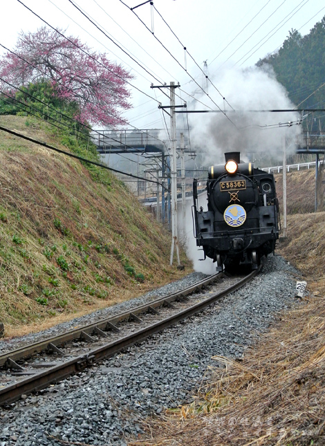 Chichibu_20140401a.JPG