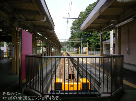 Photo_t006d.jpg
