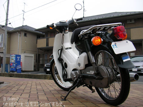 Photo_t109_MS06c50ss.jpg